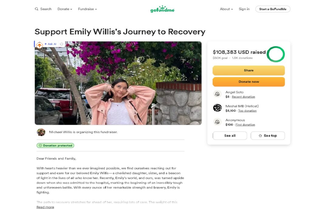 Gofundme Emily Willis